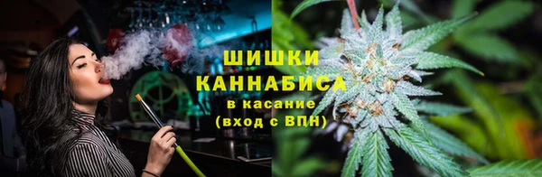 прущая мука Вяземский