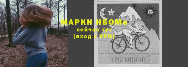 прущая мука Вяземский