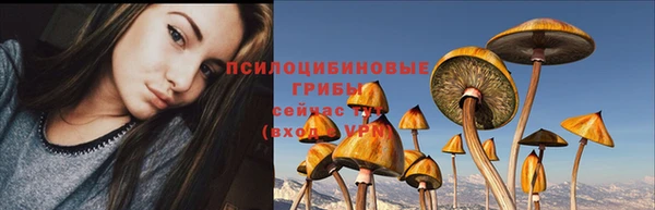 прущая мука Вяземский