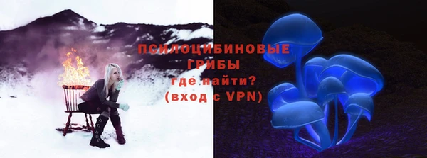 ешки Вязники
