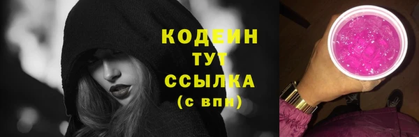 прущая мука Вяземский