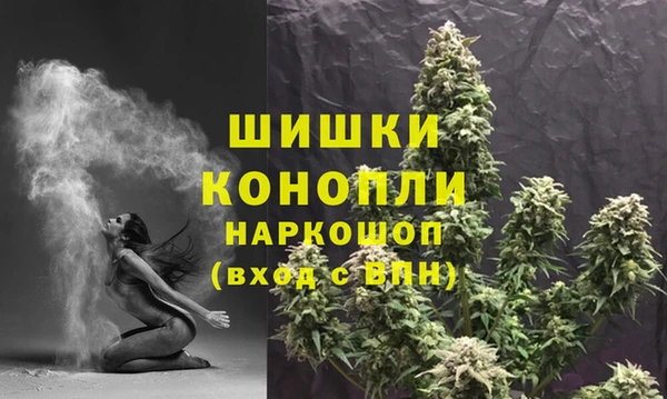 прущая мука Вяземский