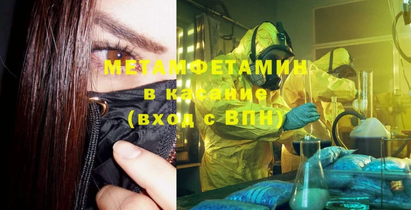 прущая мука Вяземский