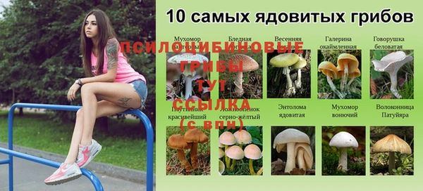 ешки Вязники