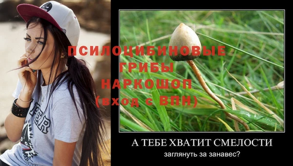 скорость Вязьма