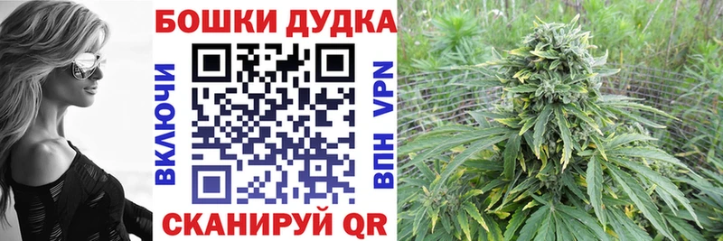Бошки марихуана семена  Купить где  Нахабино 